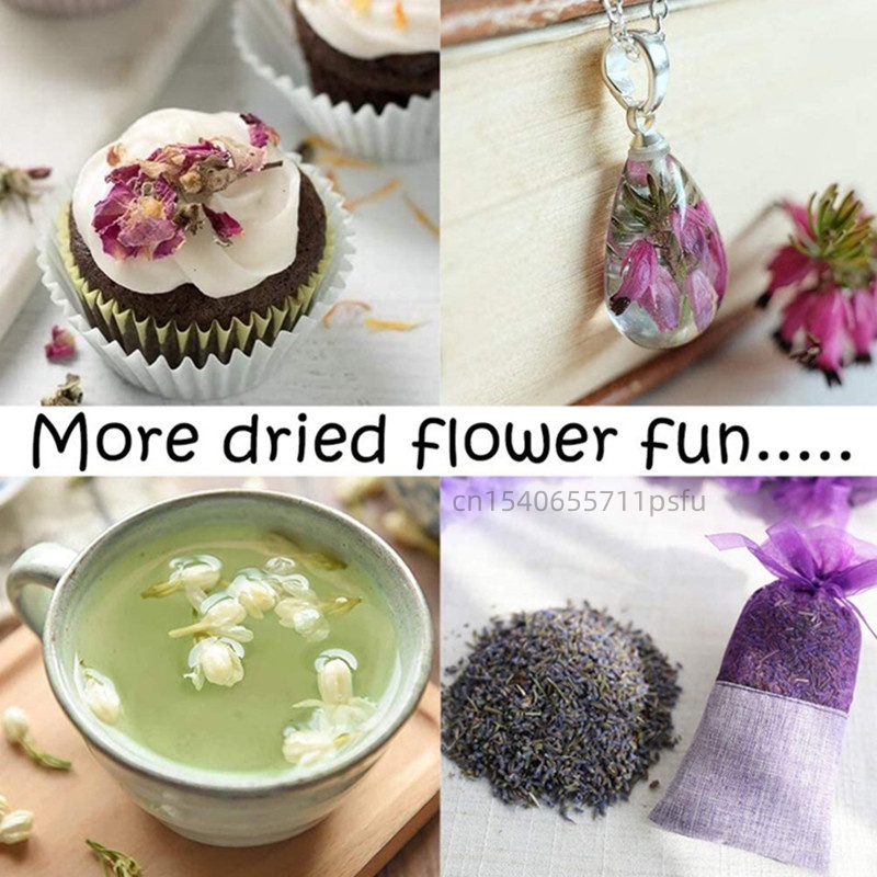 高品質天然カモミールドライフラワー、石鹸作り、キャンドルクラ - Chamomile Tea のレビューと価格